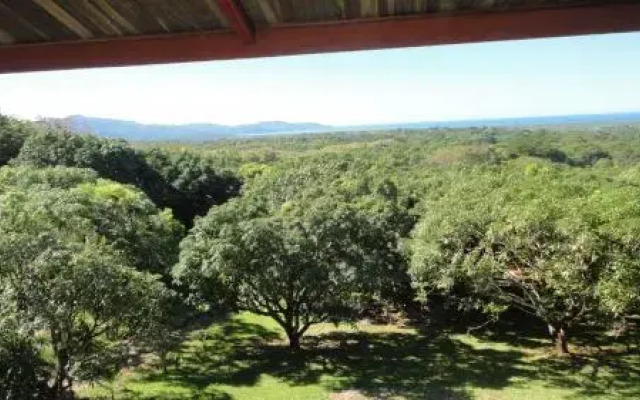 Mango Lodge