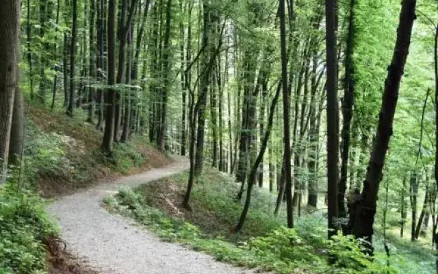 Apartman Nikolic,Banja Vrucica,Teslic