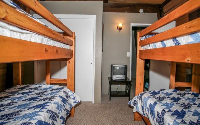 1628 - Coyote Den by RedAwning