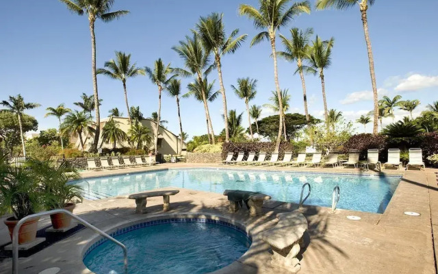 Maui Kamaole #M-105