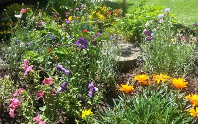 Majestic Bed and Breakfast