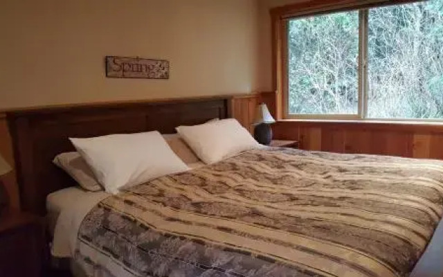 Evergreen Forest Cabins