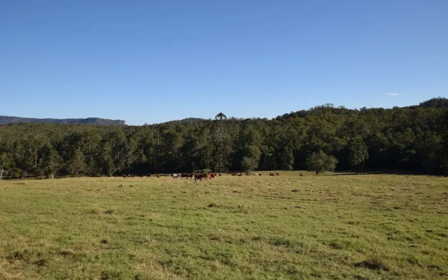 Bunya Creek Farmstay