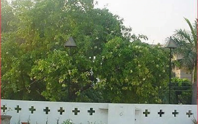 Bed and Breakfast New Delhi