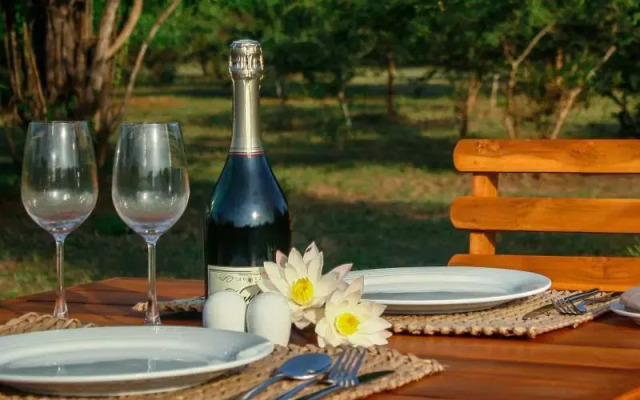 The Naturalist Luxury Tents