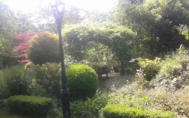 B & B het groene hart
