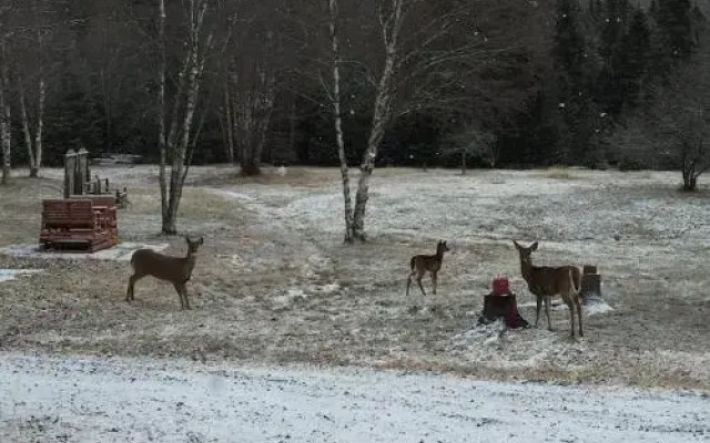 Lodge Nature Laurentides