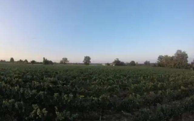 Domaine de Montels