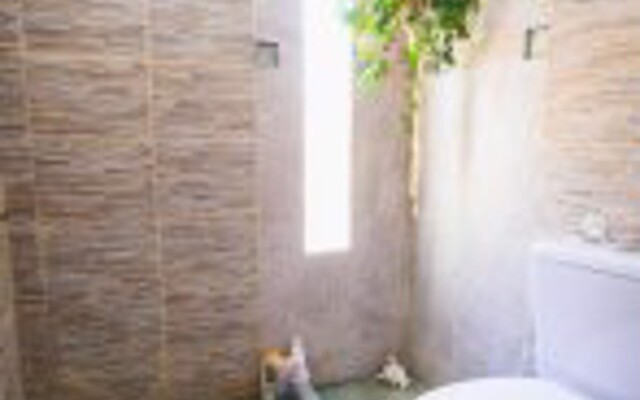 B,B&B (Bed, Breakfast and Bike)