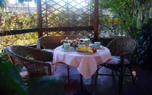 Le Camelie