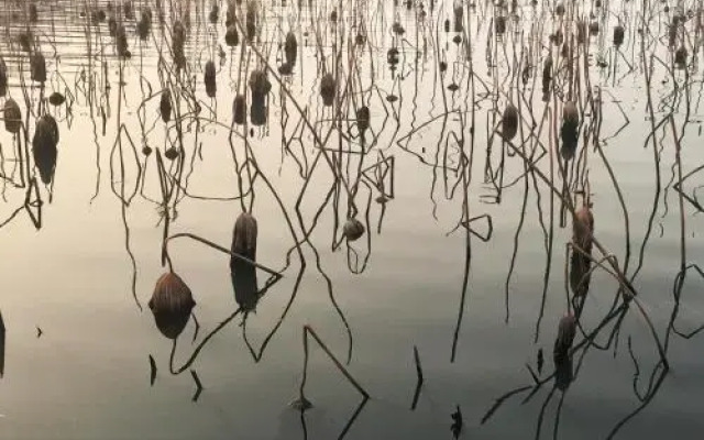 济南白水青年旅舍