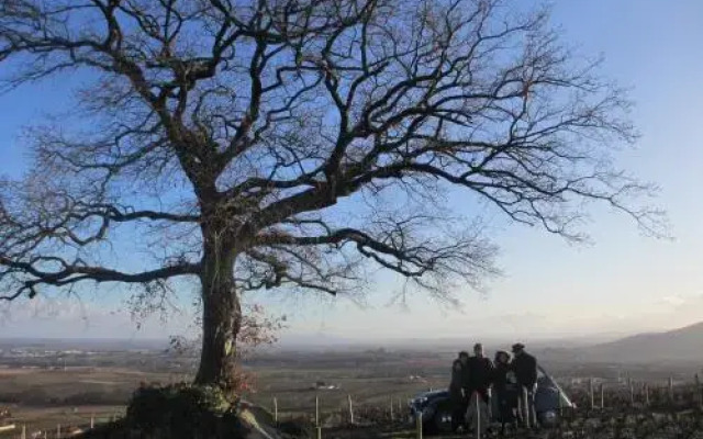 Gîte le Chêne du Py