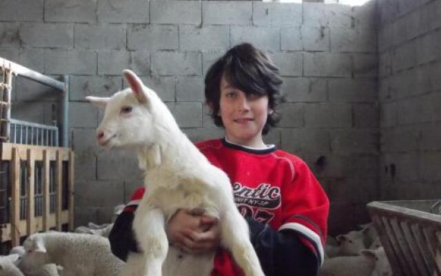 Agriturismo al Monte