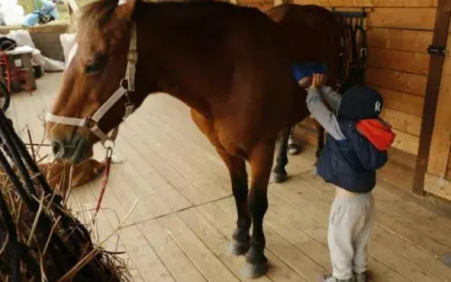 Baza Otdyha Michurinskiy Dvorik