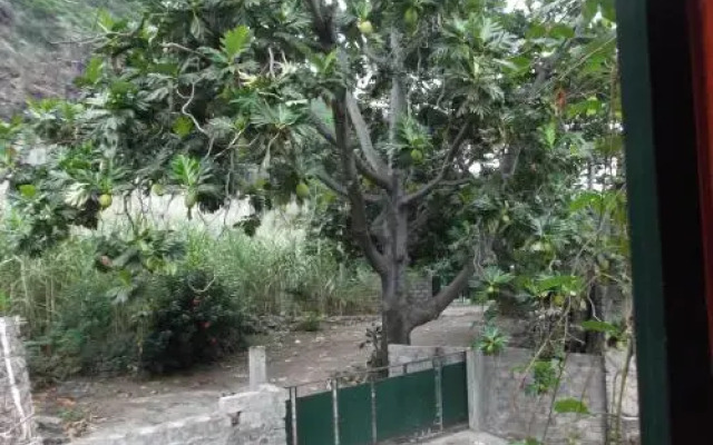 Misurino