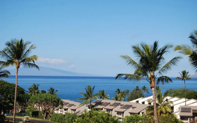 Maui Kamaole #J-217
