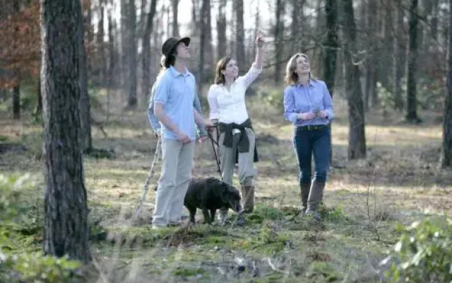 Outdoors Holten