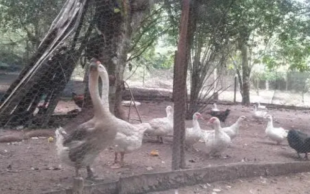 Amazon Hostel Iranduba
