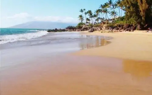 Maui Vista #1-307