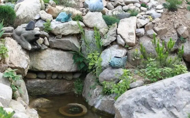 Ameegol Mountain Ranch
