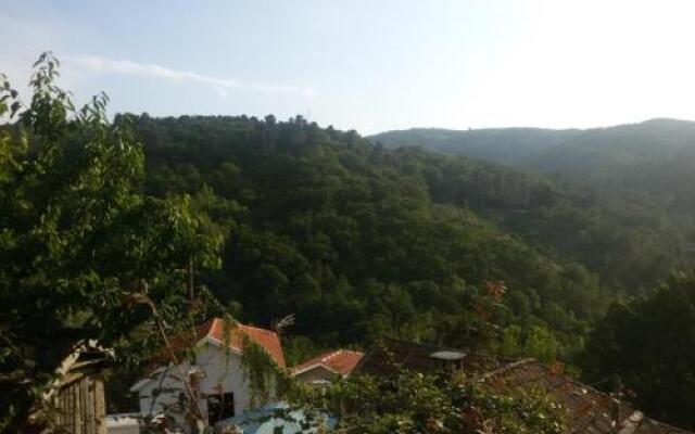 Quinta Encosta do Marao