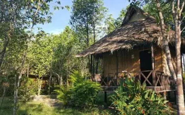 Sun Bear Bungalows