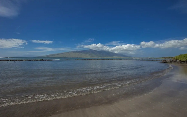 Kihei Bay Surf #257 - Studio Br Condo