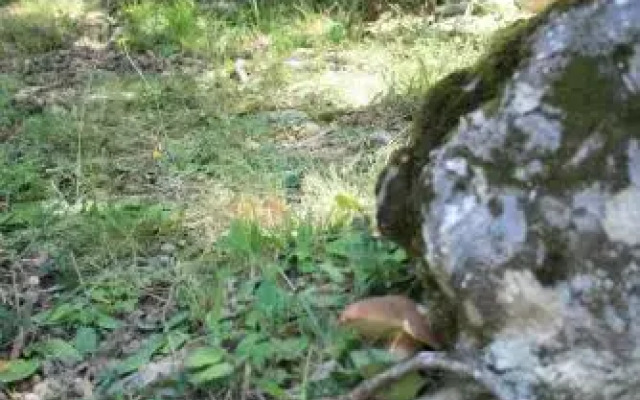Campeggio Di Schia