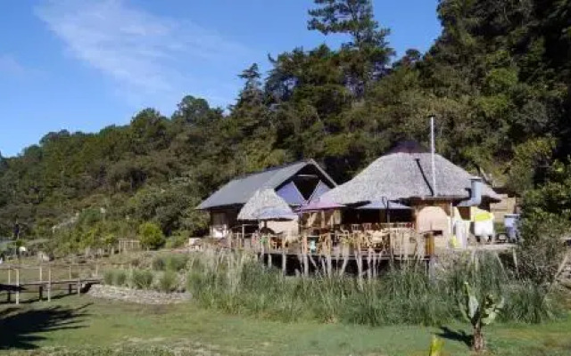 El Tular Santuario Natural