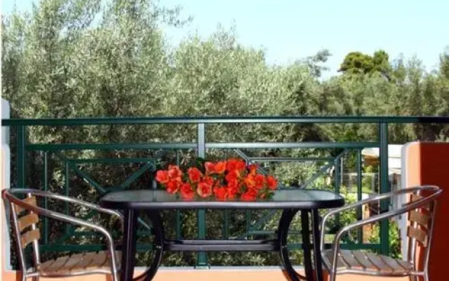 Eleana Studios