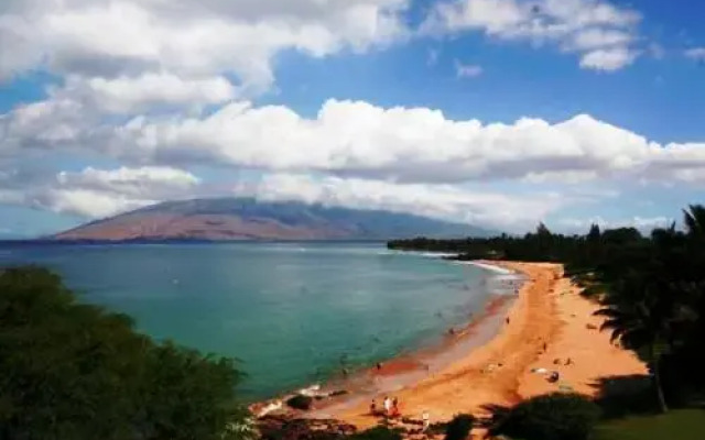 Maui Vista #1-307