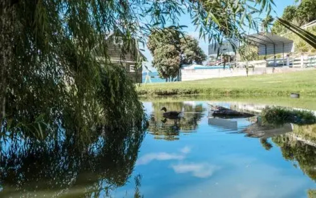 Waiheke Waters Edge