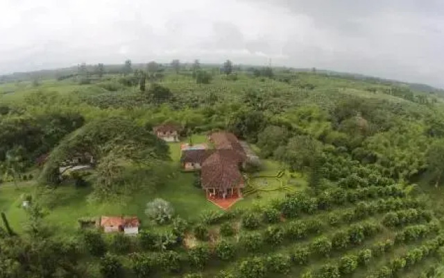 Hacienda El Saman