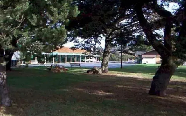 Shooting Star Motel