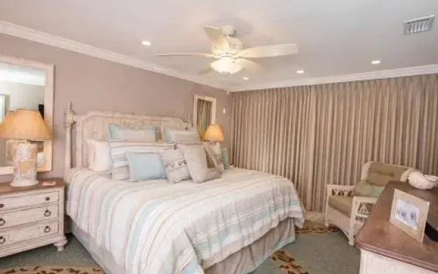 Sanddollar A303