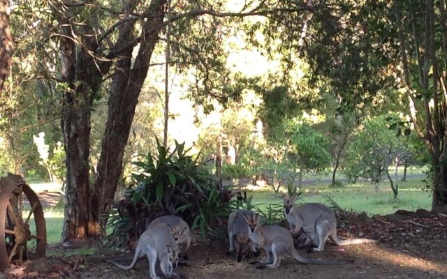 Maleny Country Cottages