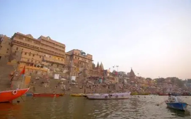 Shiva Shakti Yoga Resort