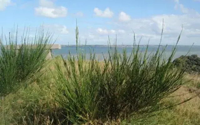 Toftum Bjerge Holiday House