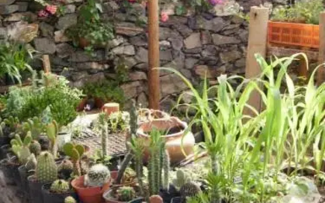 Alquiler de Casa en Cafayate