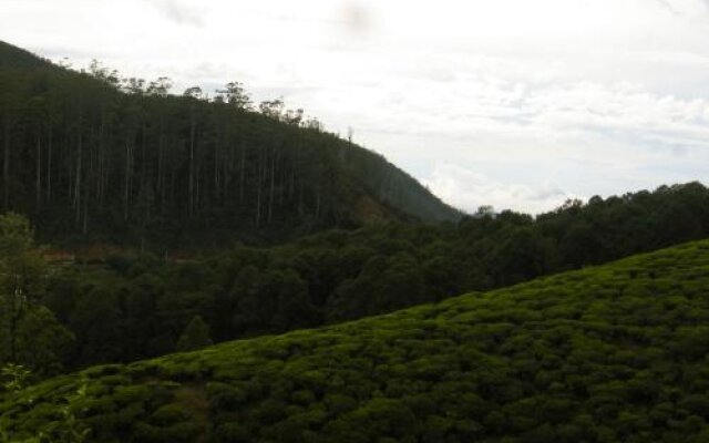 Hill Tea View