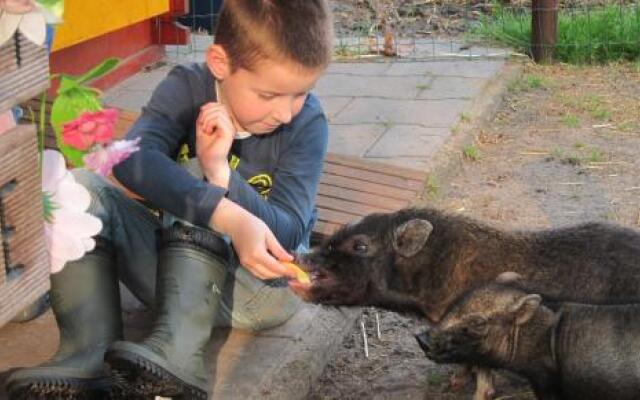 Pipowagen Minicamping De Linde