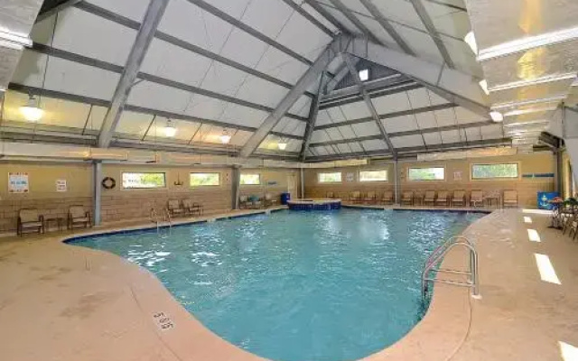 Plantation Palms 6408