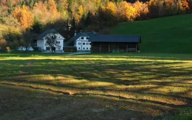 Cvetje V Jeseni