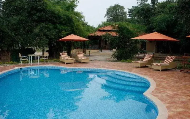 Infinity Bandhavgarh Wilderness