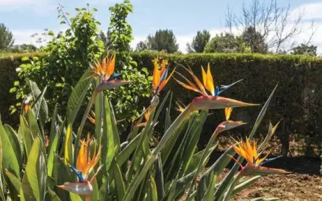 Villa Margarita