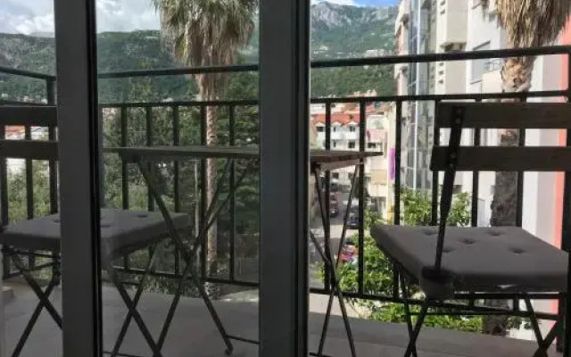 Deluxe 110 in Budva