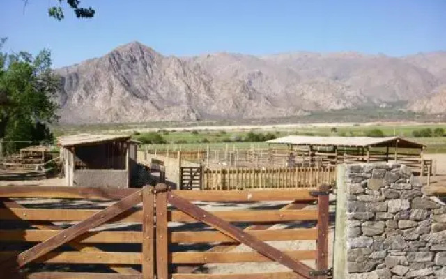 Alquiler de Casa en Cafayate