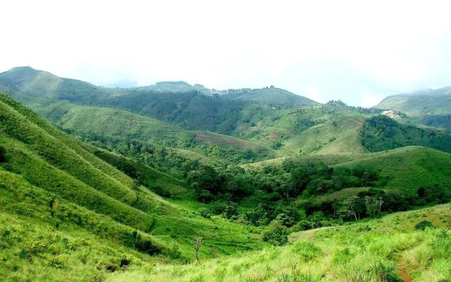 Green Meadows Vagamon