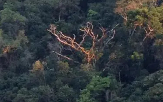 Chalé do Félix