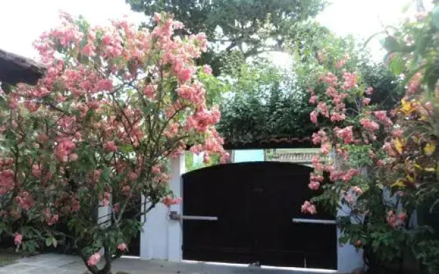 Zm Suites